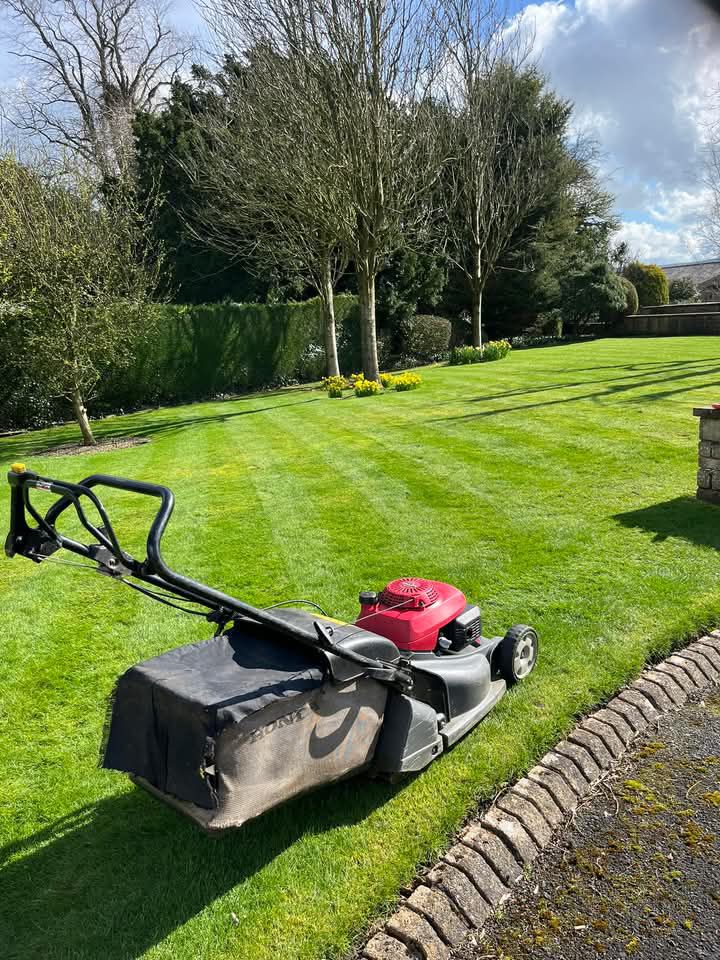 gardeining service in dublin